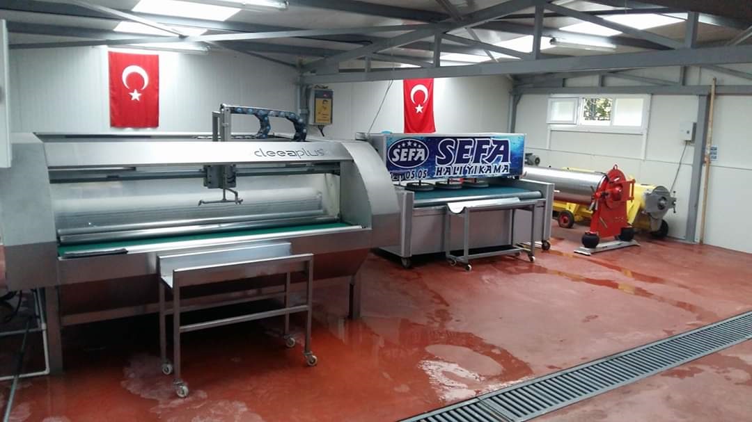 Halı Yıkama